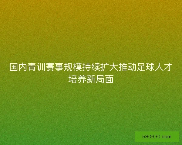 国内青训赛事规模持续扩大推动足球人才培养新局面